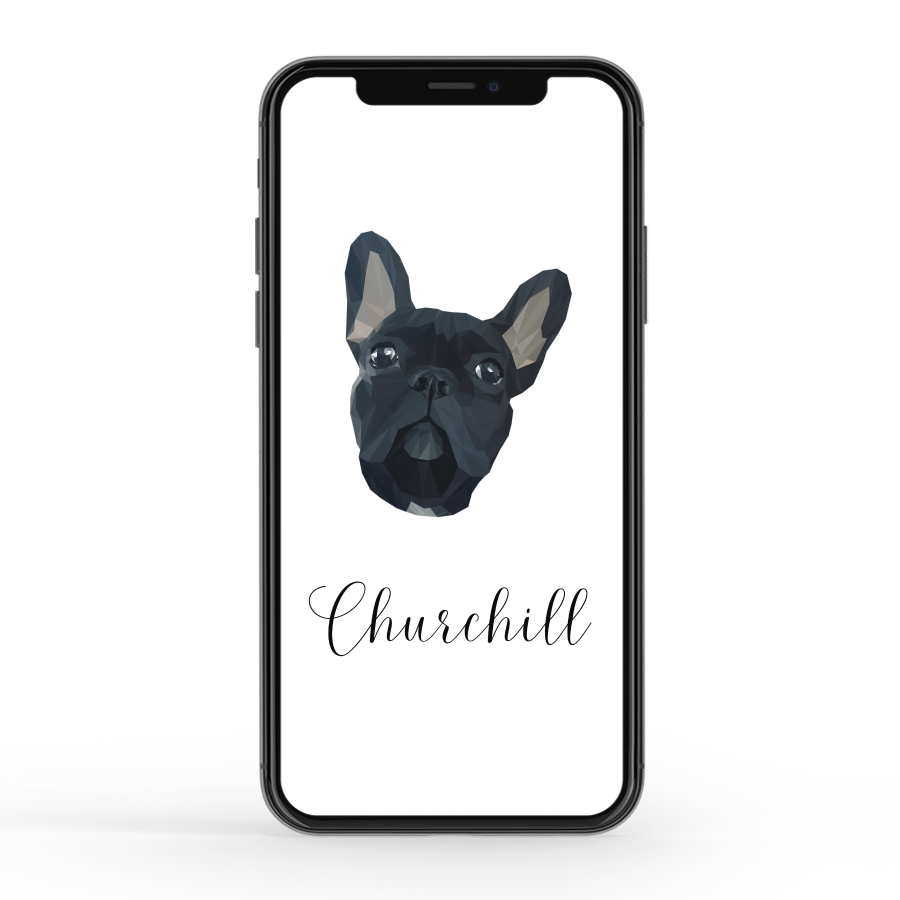 minimalistic mockup featuring an iphone x against a plain background 129 el 2 1
